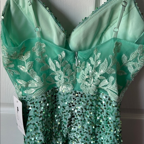 Stunning embroidered sequin stunner mini dress - Picture 5 of 9